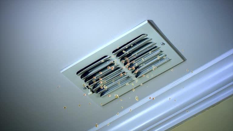 Best Best Air Duct Cleaning Company  in Towamensing Trails, PA